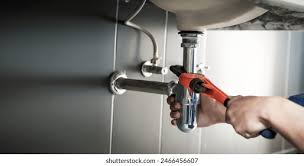 Best Green Plumbing Solutions and Water Conservation  in Puyallup, WA